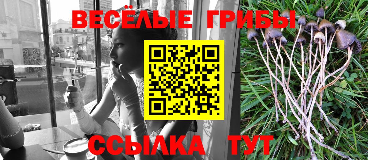Галлюциногенные грибы Psilocybine cubensis Златоуст